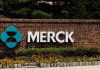 Merck covid vaccine