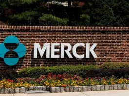 Merck covid vaccine