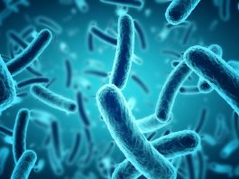 Microbes science discovered on international space station
