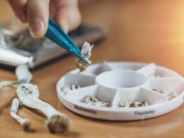 Microdosing magic mushroom