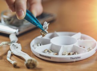 Microdosing magic mushroom