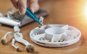 Microdosing magic mushroom