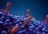 The Hidden World of Microorganisms: From Bacteria to Viruses to Protists