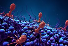 The Hidden World of Microorganisms: From Bacteria to Viruses to Protists