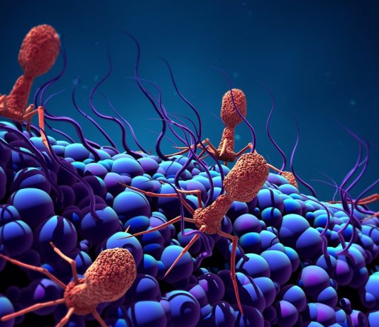 The Hidden World of Microorganisms: From Bacteria to Viruses to Protists