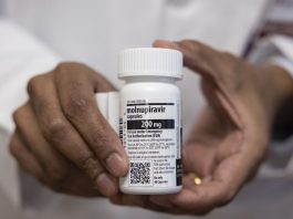 Molnupiravir
