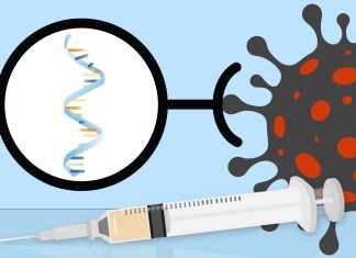 Mrna companies testing vaccines for Covid-19