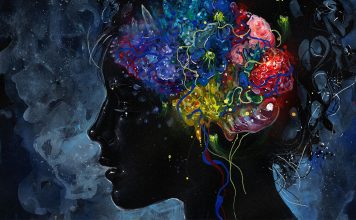 Mushroom drug effects on brain