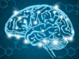 The Neurobiology of Addiction: Understanding the Brain’s Reward System