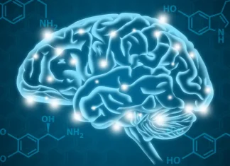 The Neurobiology of Addiction: Understanding the Brain’s Reward System