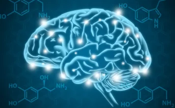 The Neurobiology of Addiction: Understanding the Brain’s Reward System