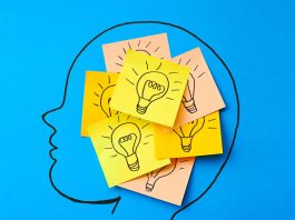 The Neuroscience of Learning: How We Learn and Retain Information