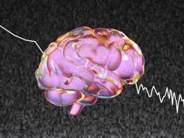 Exploring the Mysteries of the Human Brain: Recent Advances in Neuroscience Research