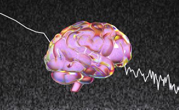 Exploring the Mysteries of the Human Brain: Recent Advances in Neuroscience Research
