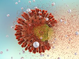 New hiv variant
