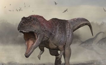 Researchers Discover New Species of Giant Dinosaur in Argentina