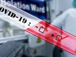 Ovid incubation period