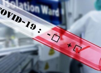 Ovid incubation period