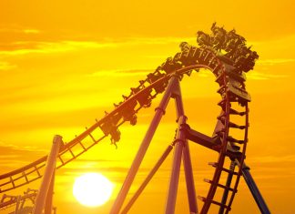 The Physics of Roller Coasters: How Do They Work?
