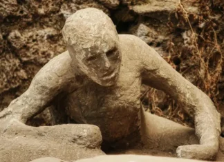 Pompeii bodies