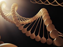 The Power of Genetics: How Our Genes Influence Our Health and Behavior
