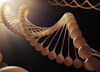 The Power of Genetics: How Our Genes Influence Our Health and Behavior