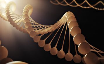 The Power of Genetics: How Our Genes Influence Our Health and Behavior
