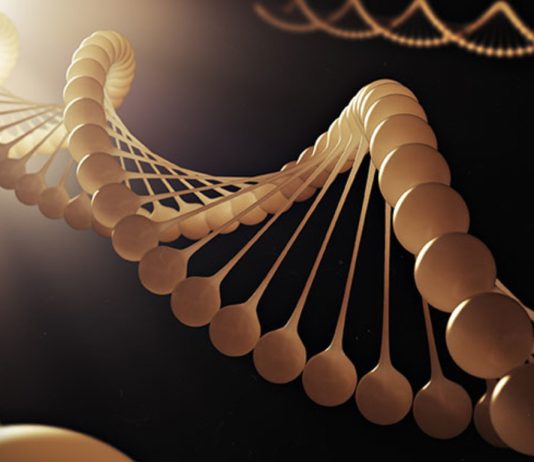 The Power of Genetics: How Our Genes Influence Our Health and Behavior