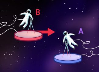 The Discovery of Special Relativity: The Principle of Relativity and the Speed