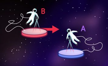 The Discovery of Special Relativity: The Principle of Relativity and the Speed