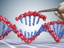 The Promise of CRISPR-Cas9 Gene Editing: Opportunities and Challenges