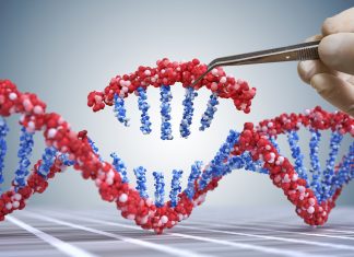 The Promise of CRISPR-Cas9 Gene Editing: Opportunities and Challenges