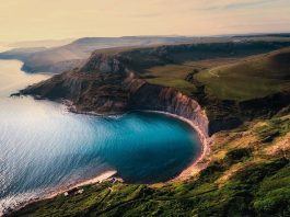 The Science of Ecology: Understanding Ecosystems and Environmental Sustainability