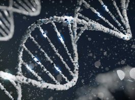 The Science of Genetics: The Key to Unlocking the Secrets of Life