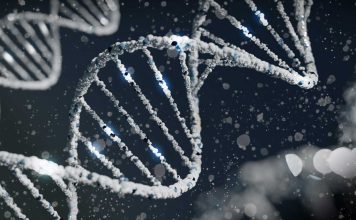 The Science of Genetics: The Key to Unlocking the Secrets of Life