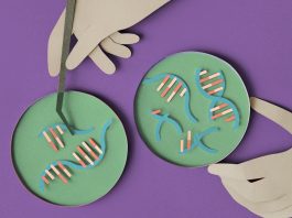The Science of Genetics: Understanding Heredity and Genetic Disorders