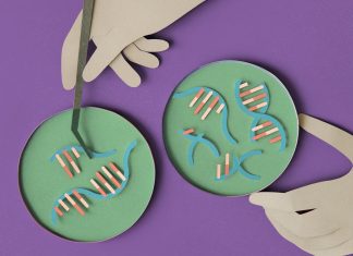 The Science of Genetics: Understanding Heredity and Genetic Disorders