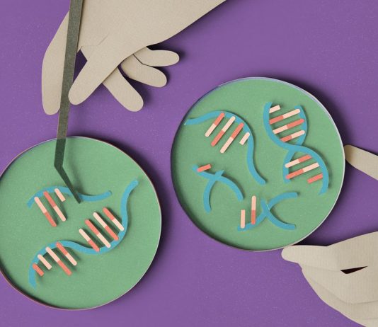 The Science of Genetics: Understanding Heredity and Genetic Disorders