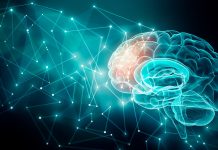 The Science of Neuroscience: Understanding the Brain and Nervous System