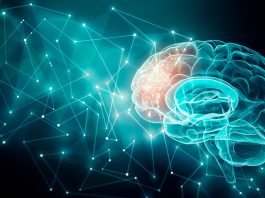 The Science of Neuroscience: Understanding the Brain and Nervous System