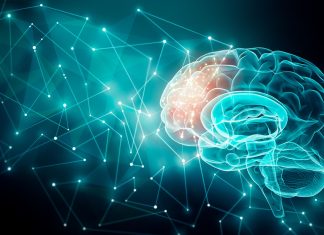 The Science of Neuroscience: Understanding the Brain and Nervous System