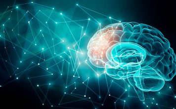 The Science of Neuroscience: Understanding the Brain and Nervous System