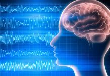 The Science of Psychology: Understanding Human Behavior and Mental Processes