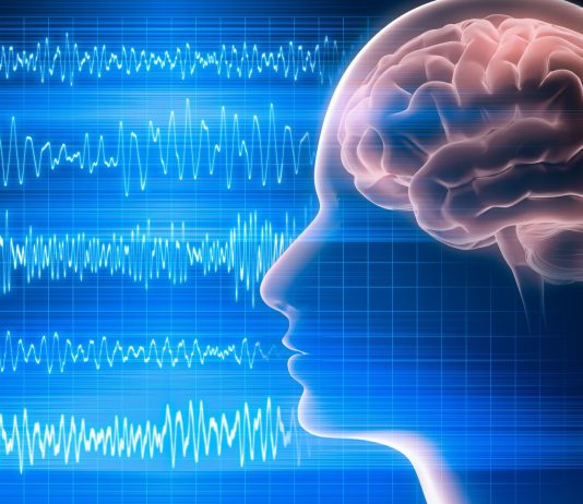 The Science of Psychology: Understanding Human Behavior and Mental Processes