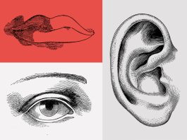 The Science of the Senses: How We Experience the World
