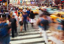 Scientists unveil unified genealogy ancient art