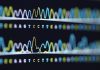 Sequence genome assembly