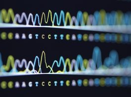 Sequence genome assembly