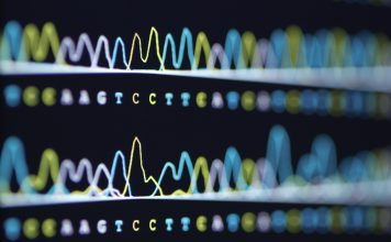 Sequence genome assembly