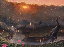 Shards asteroid site that killed have dinosaurs